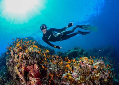 Mergulho Diving Casco Antiguo